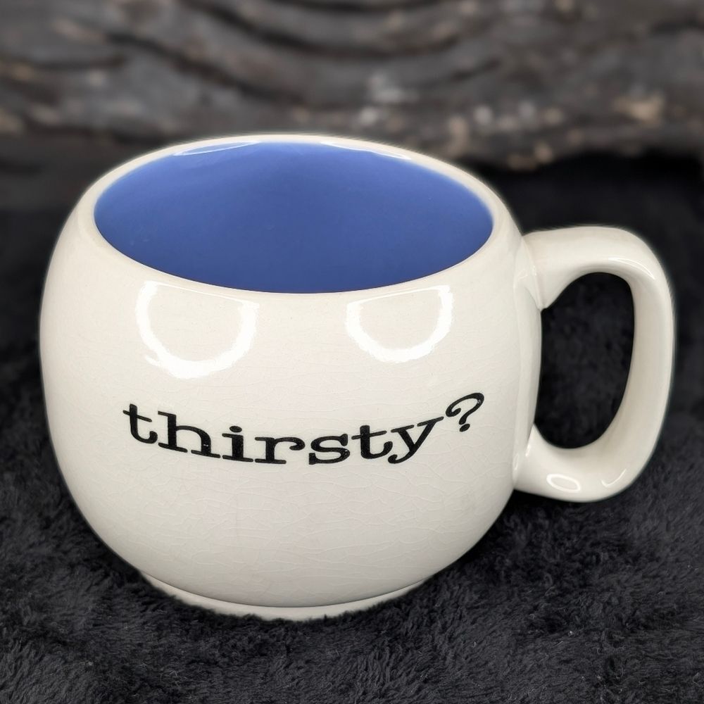 "Thirsty?" Stoneware Mug w/ Blue Interior - (Make it a pair w/ the yellow one!)